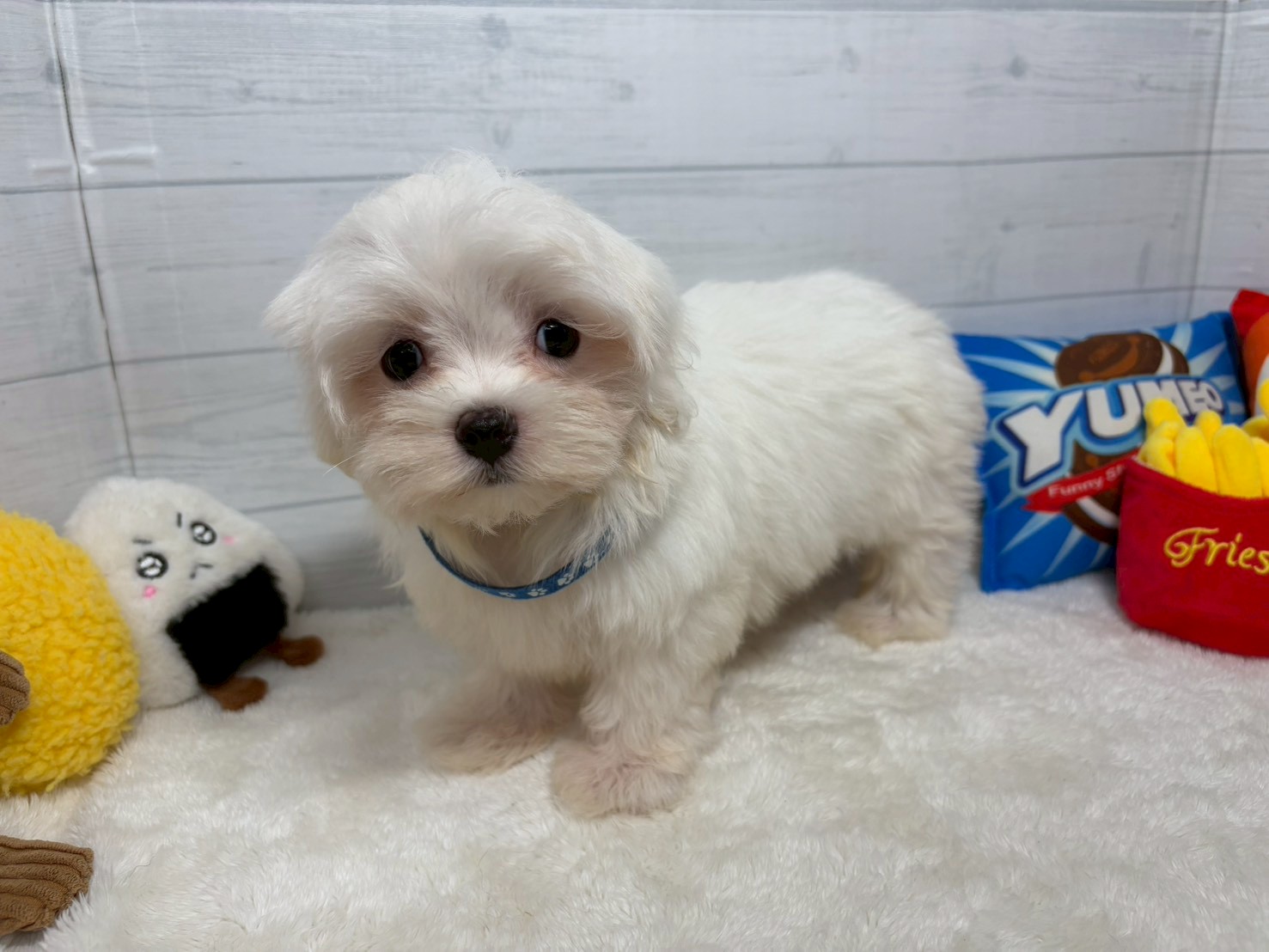 赤ちゃん写真2-1