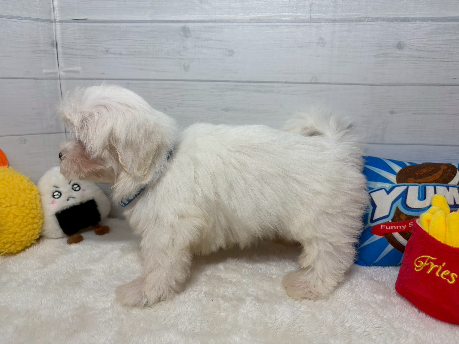 赤ちゃん写真2-2