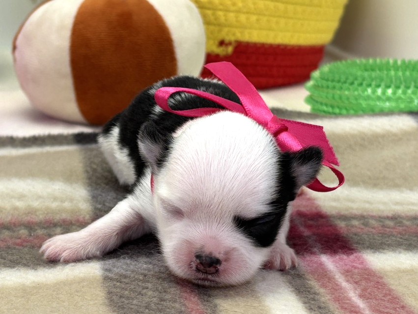 赤ちゃん写真1-1