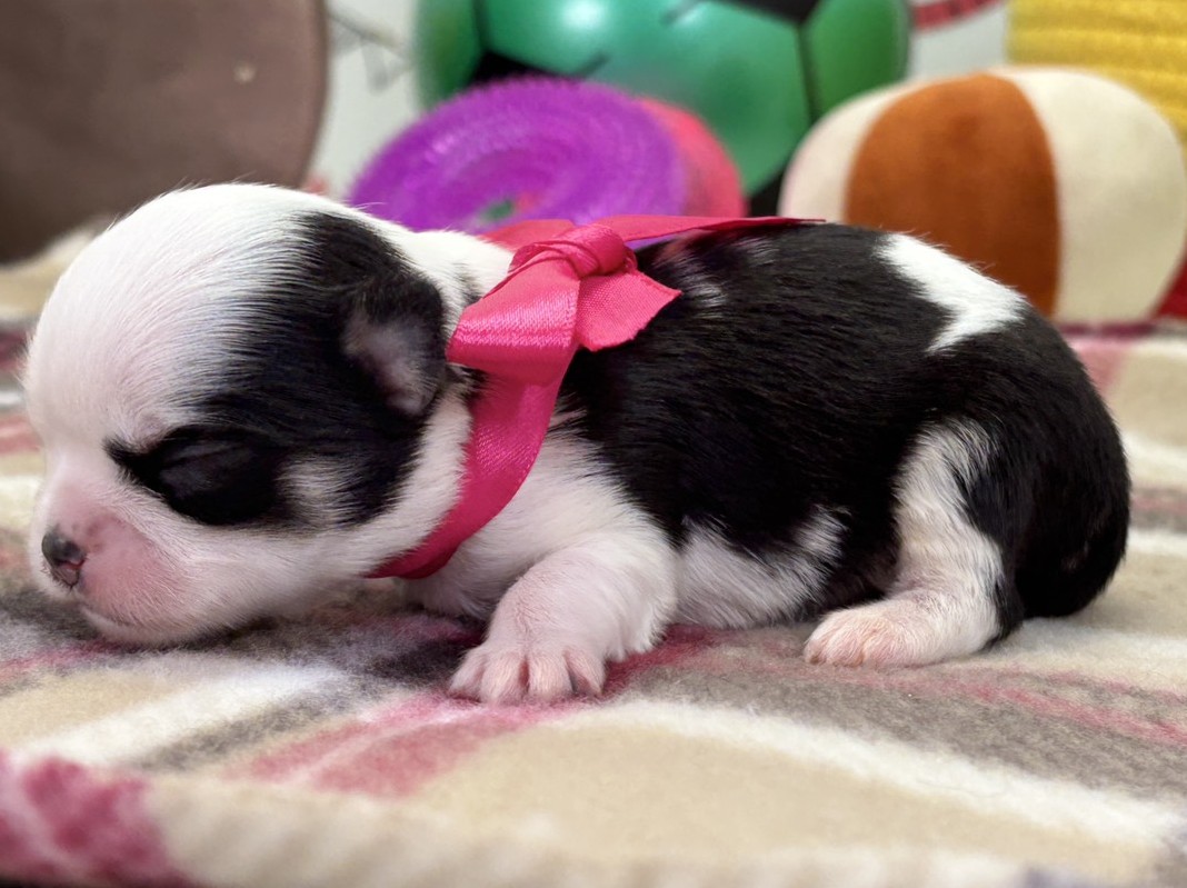 赤ちゃん写真1-2