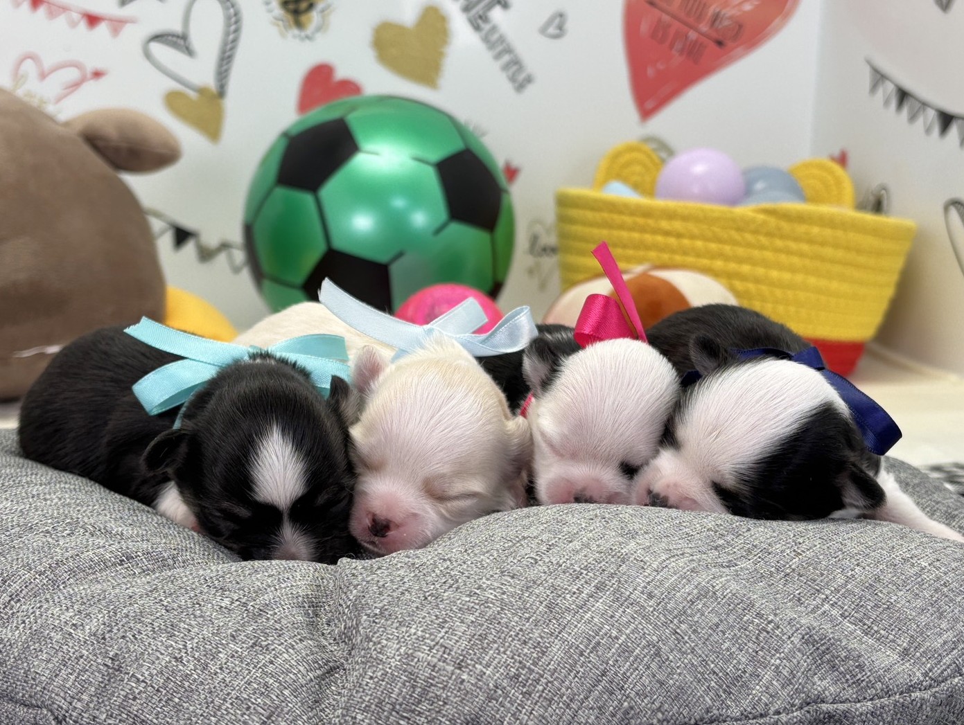 赤ちゃん写真1-3