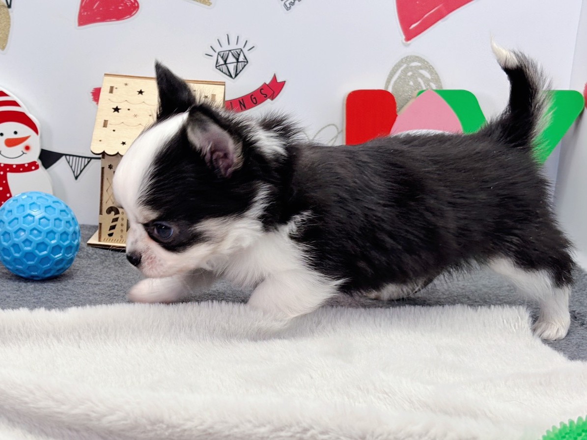 赤ちゃん写真2-2