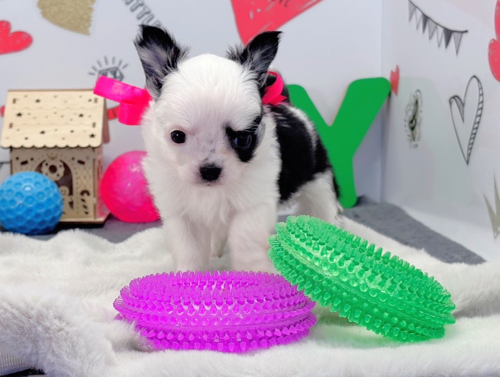 赤ちゃん写真2-1