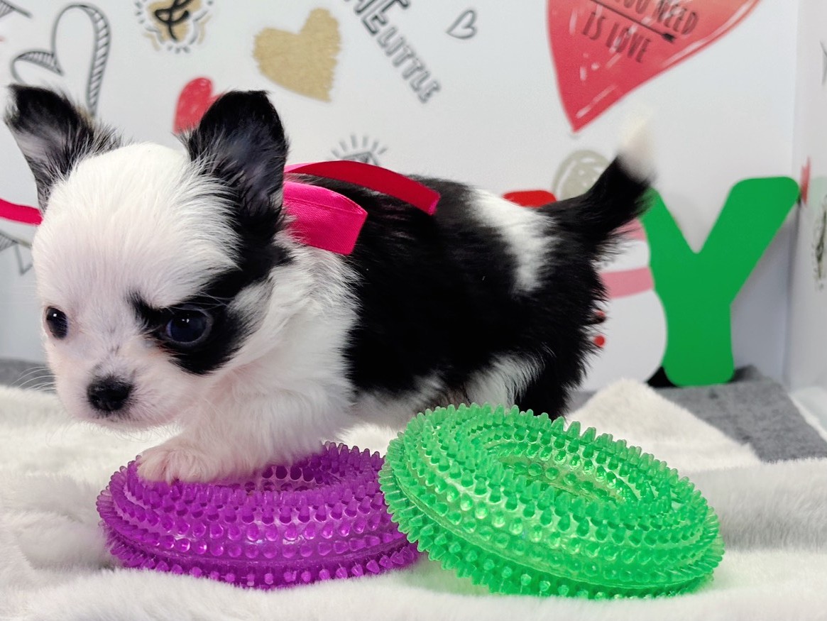 赤ちゃん写真2-2