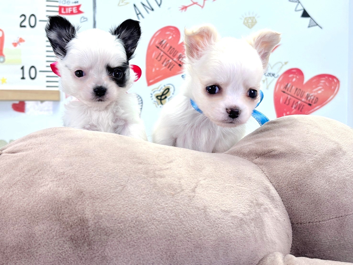 赤ちゃん写真2-3