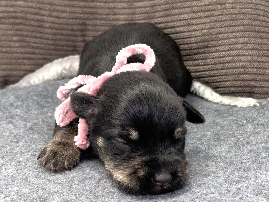 赤ちゃん写真1-1