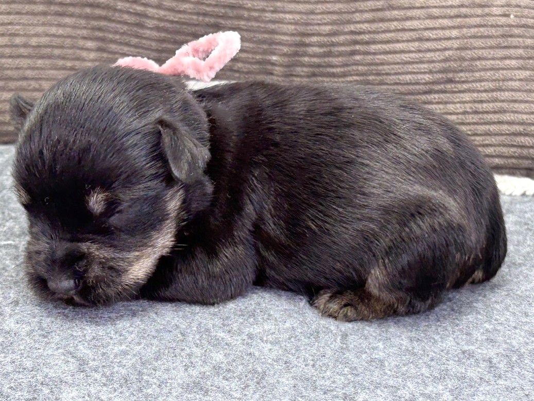 赤ちゃん写真1-2