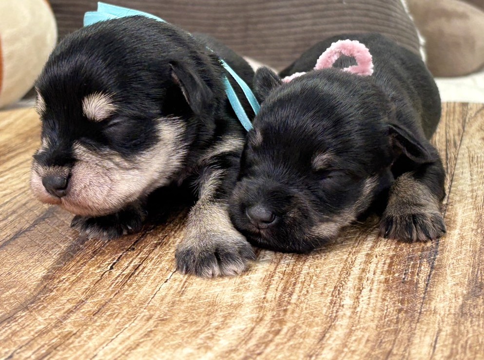 赤ちゃん写真1-3