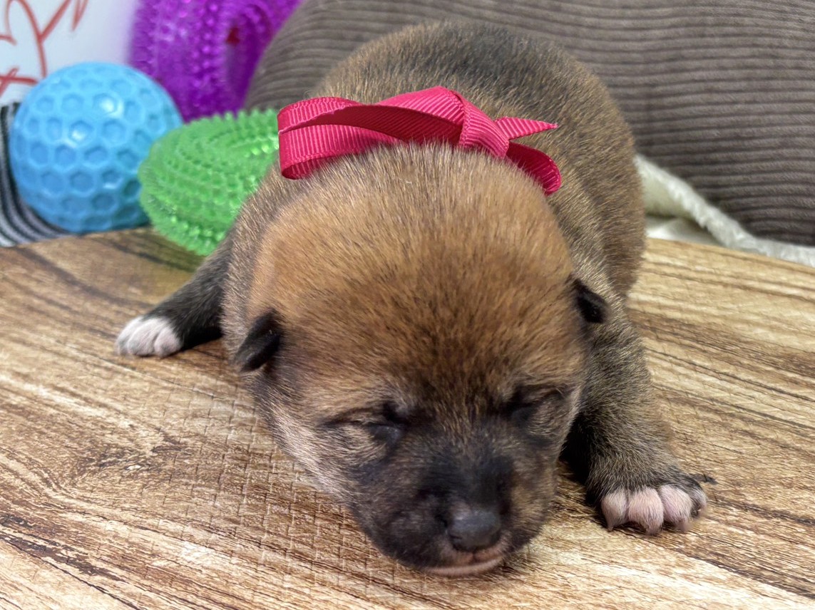 赤ちゃん写真1-1