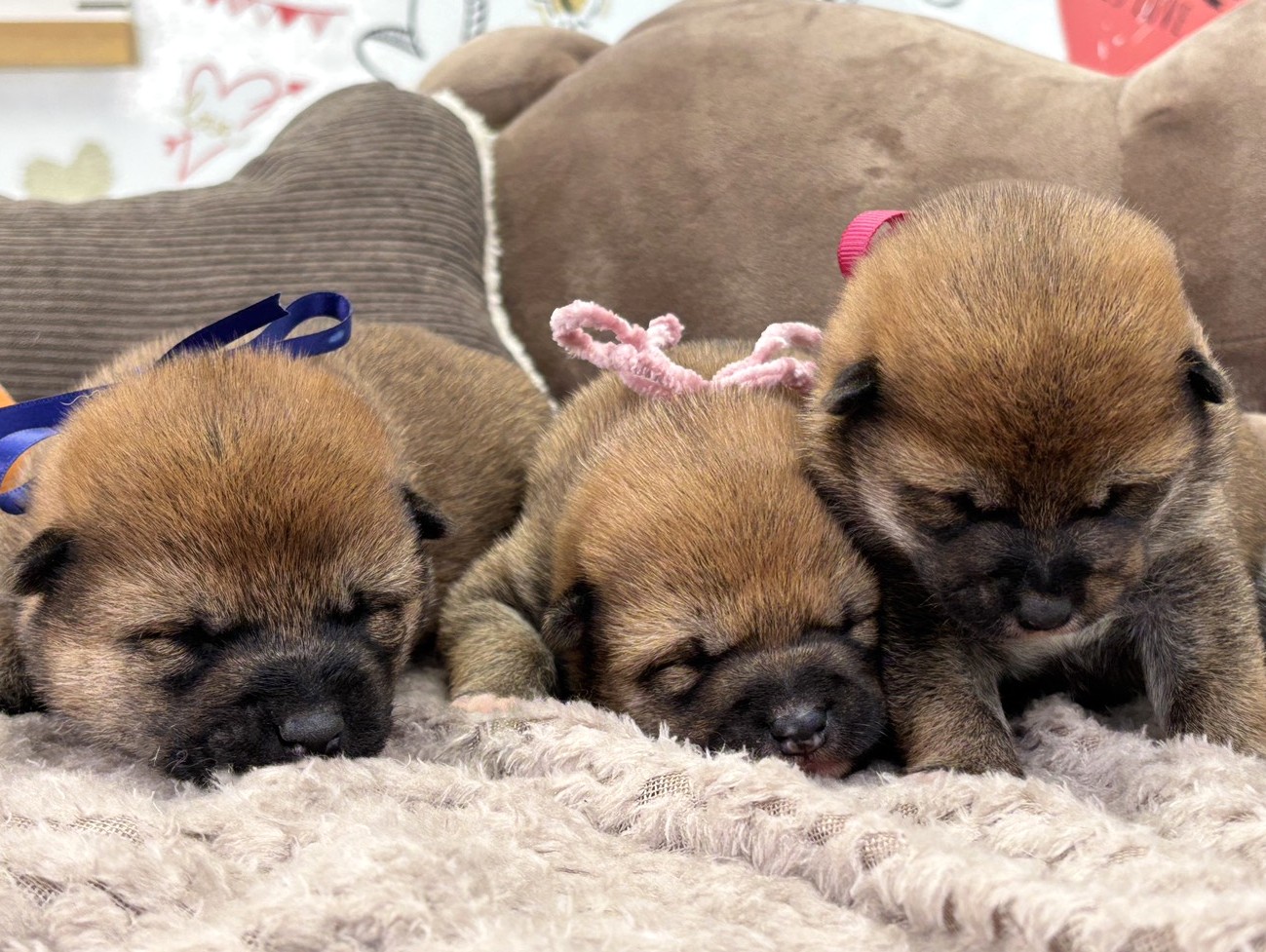 赤ちゃん写真1-3