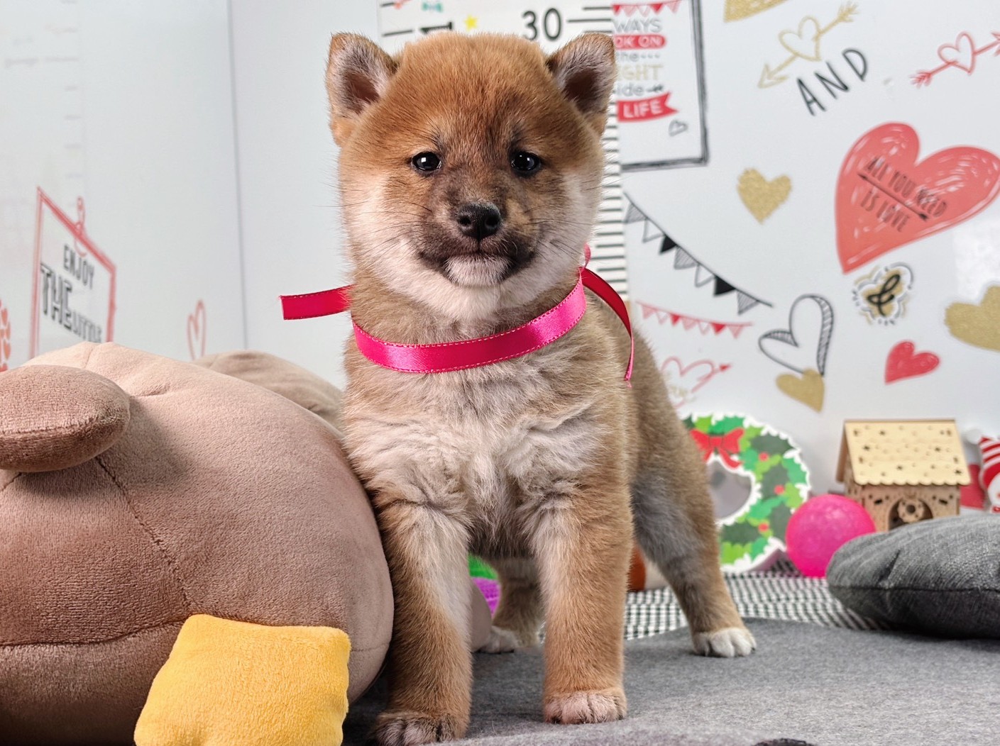 赤ちゃん写真2-1