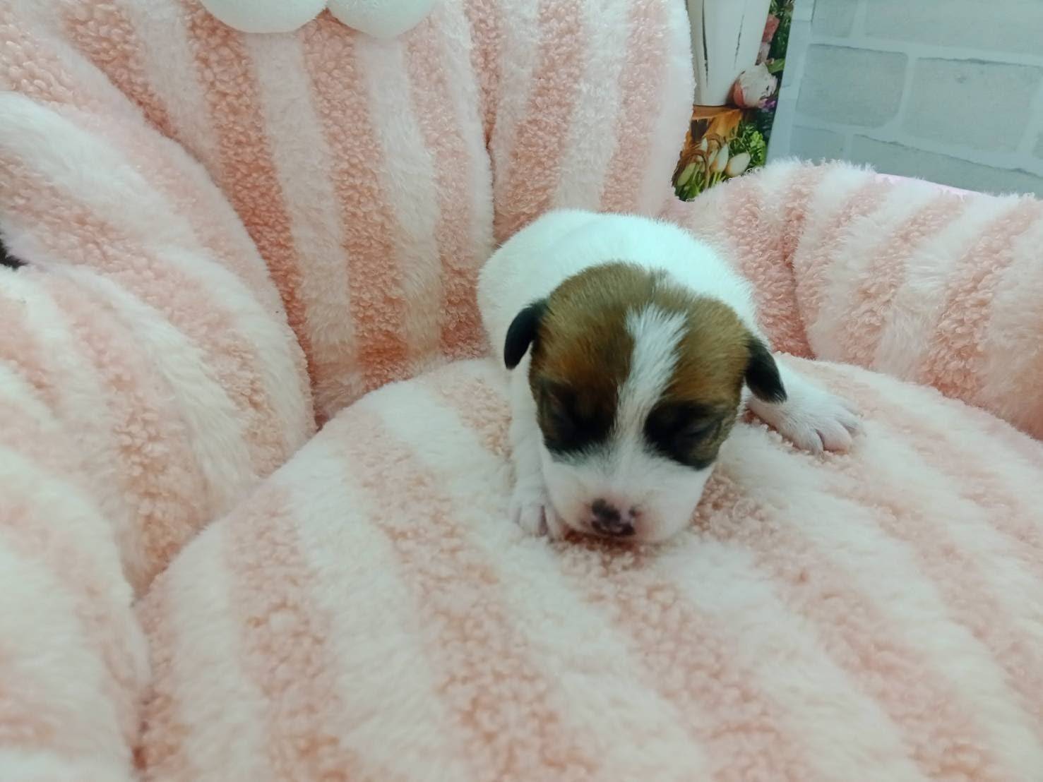 赤ちゃん写真1-1