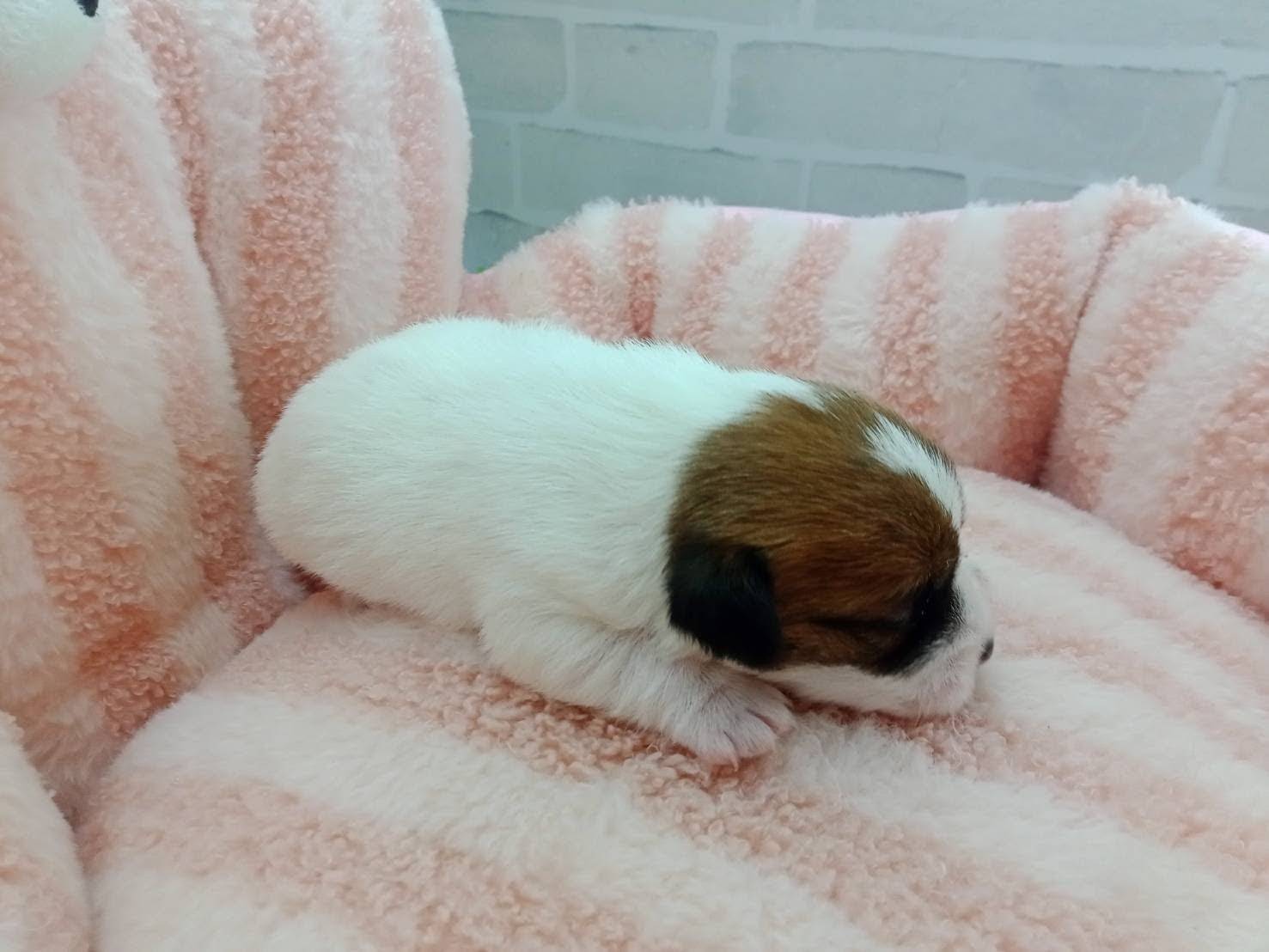 赤ちゃん写真1-2