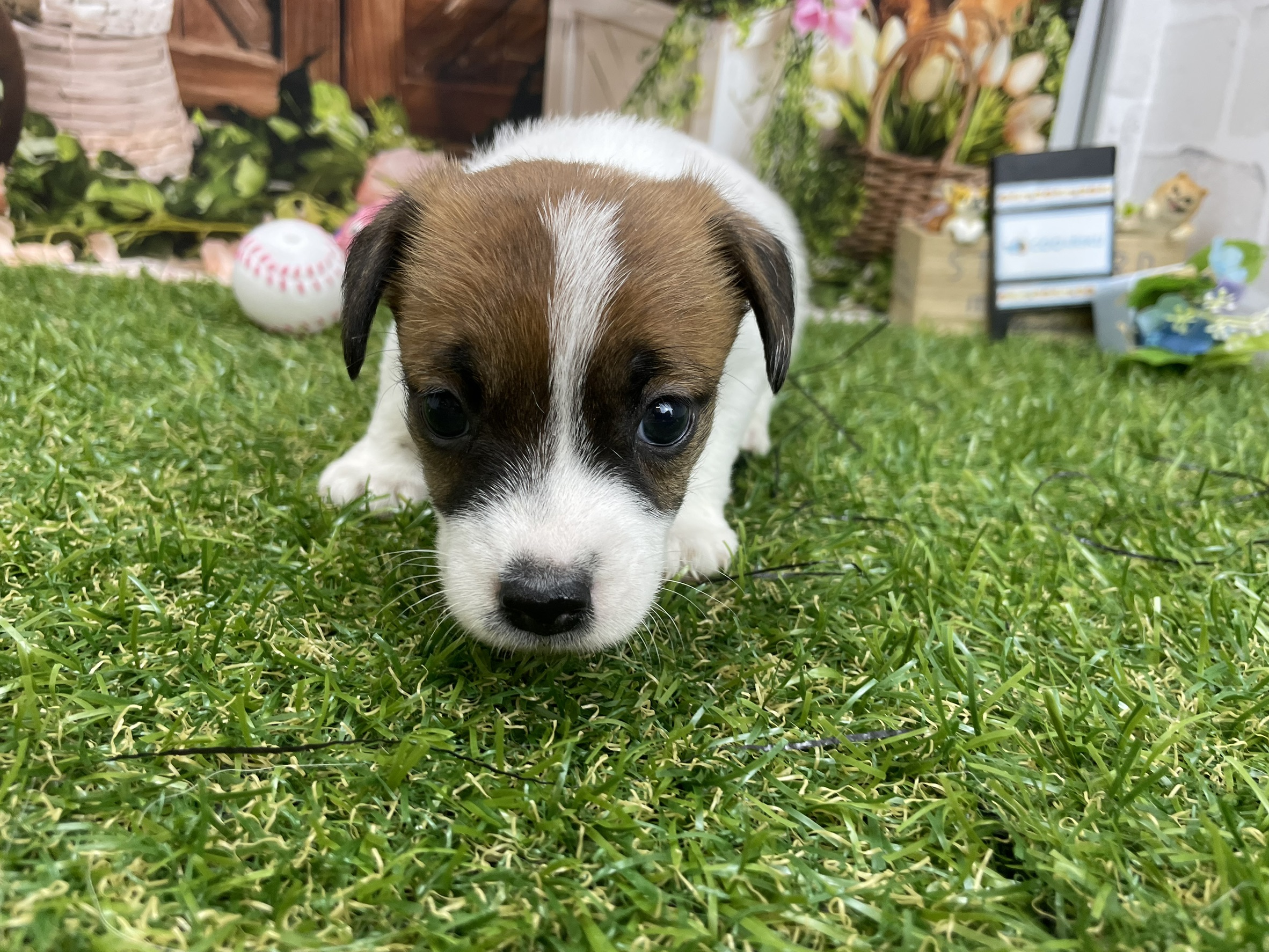 赤ちゃん写真2-1