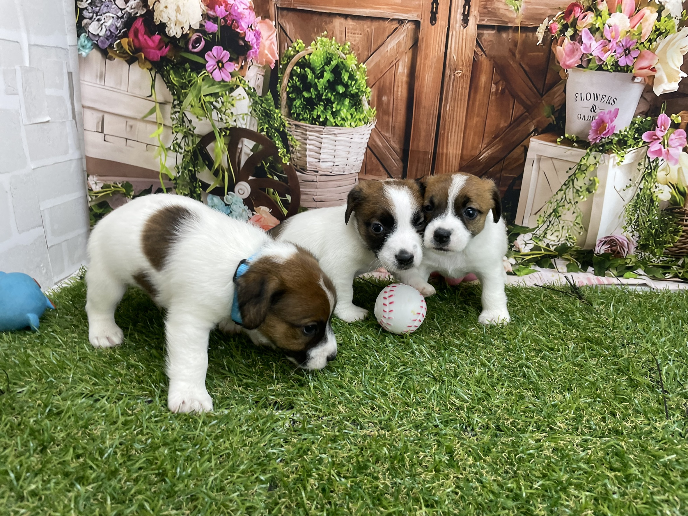 赤ちゃん写真2-3