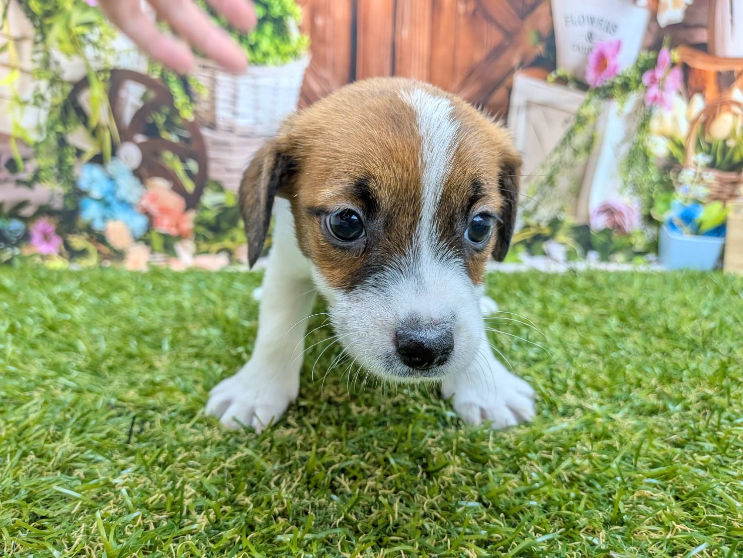 赤ちゃん写真3-1