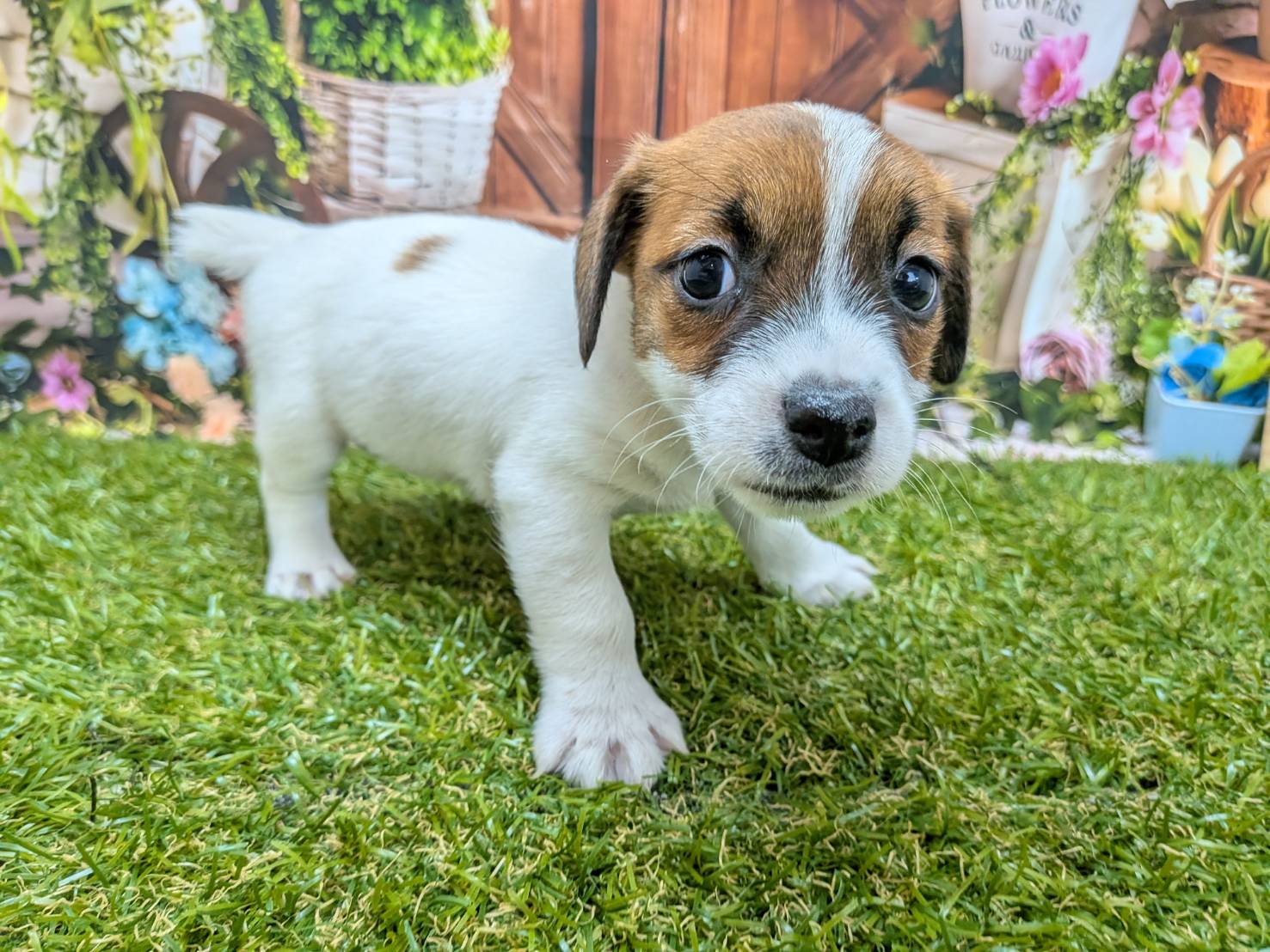 赤ちゃん写真3-2