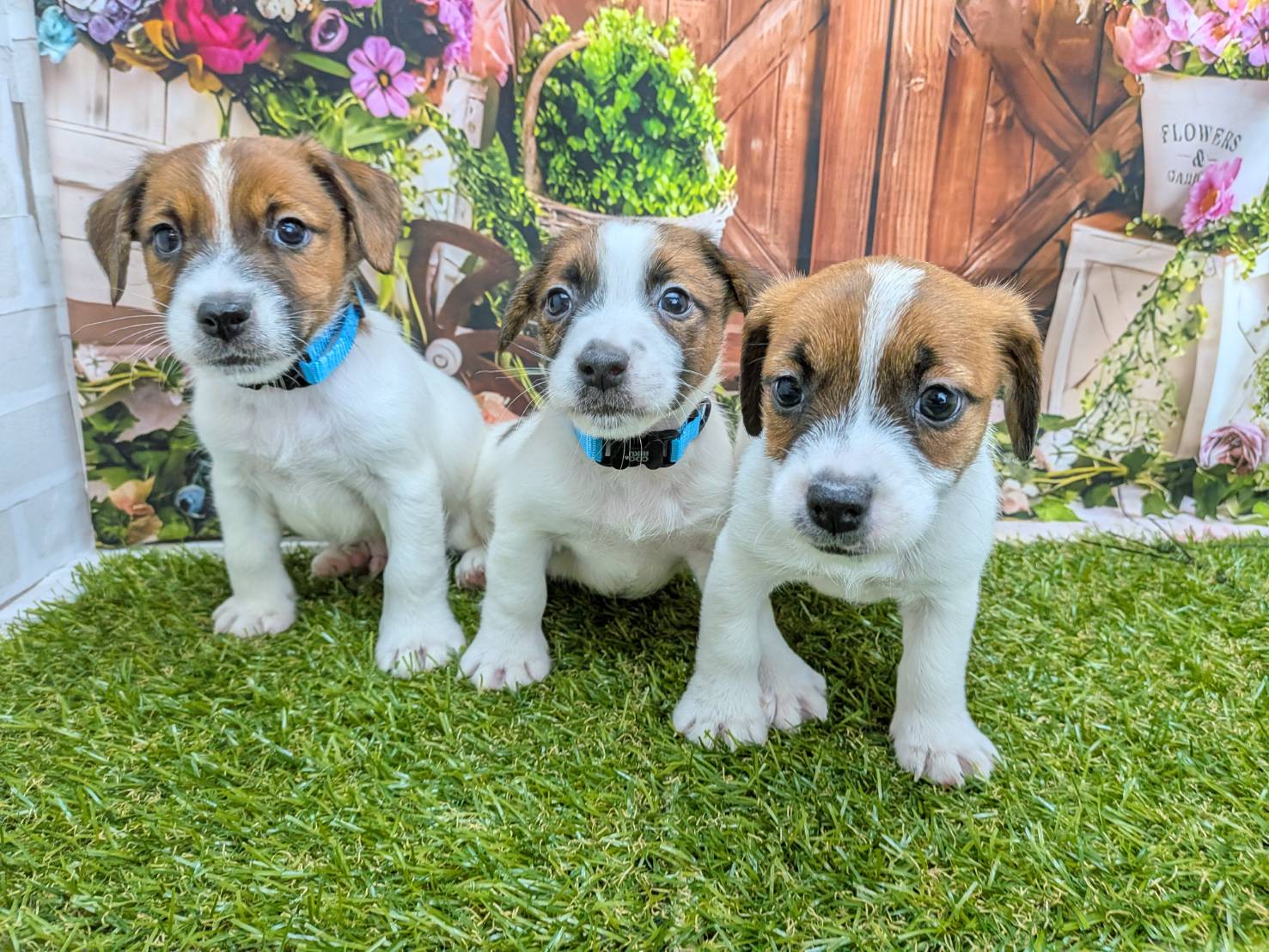 赤ちゃん写真3-3