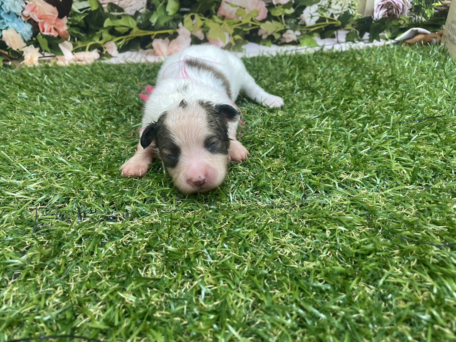 赤ちゃん写真1-1