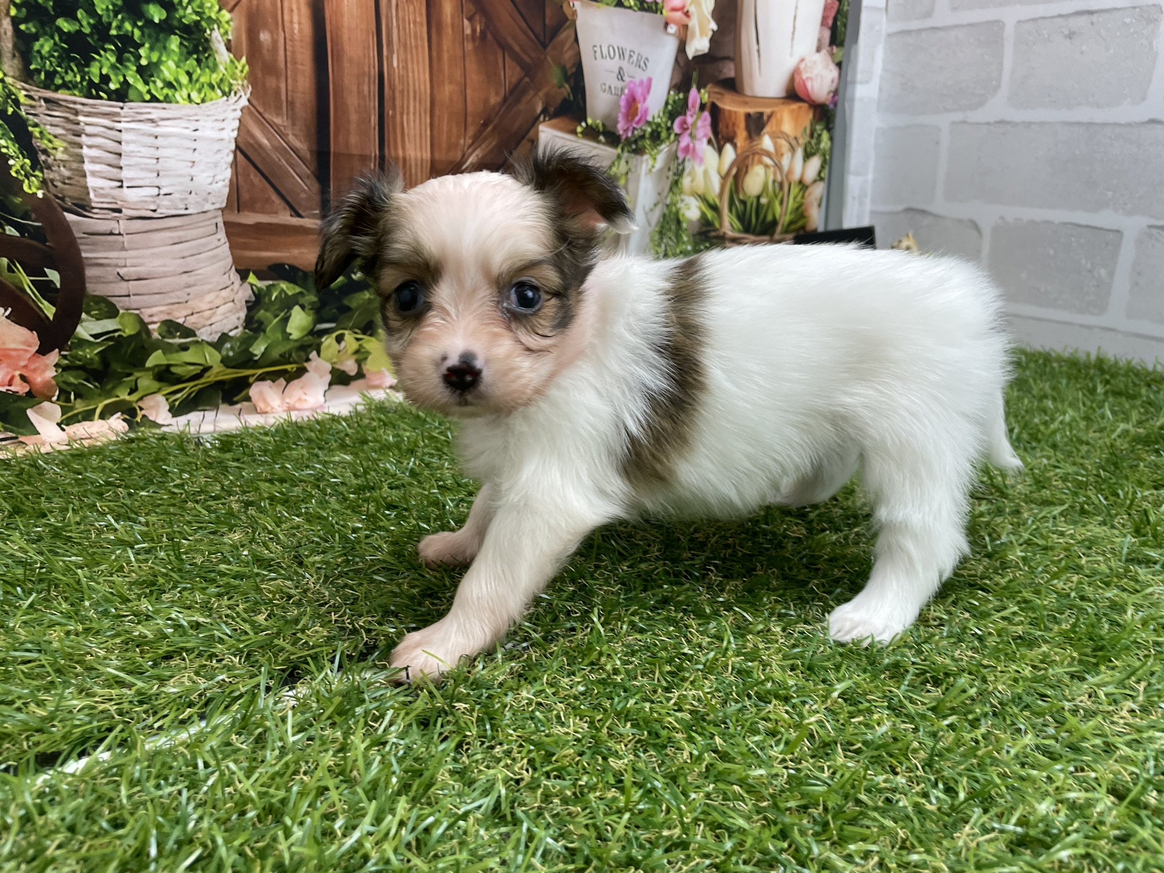 赤ちゃん写真2-2