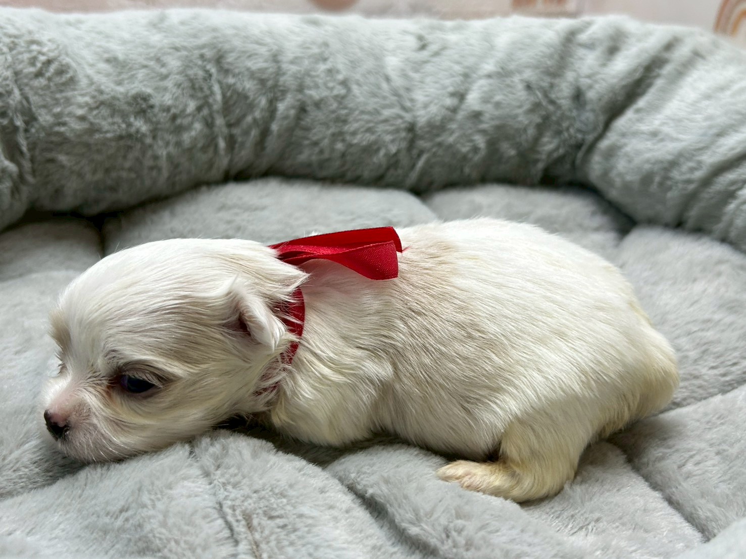 赤ちゃん写真2-2