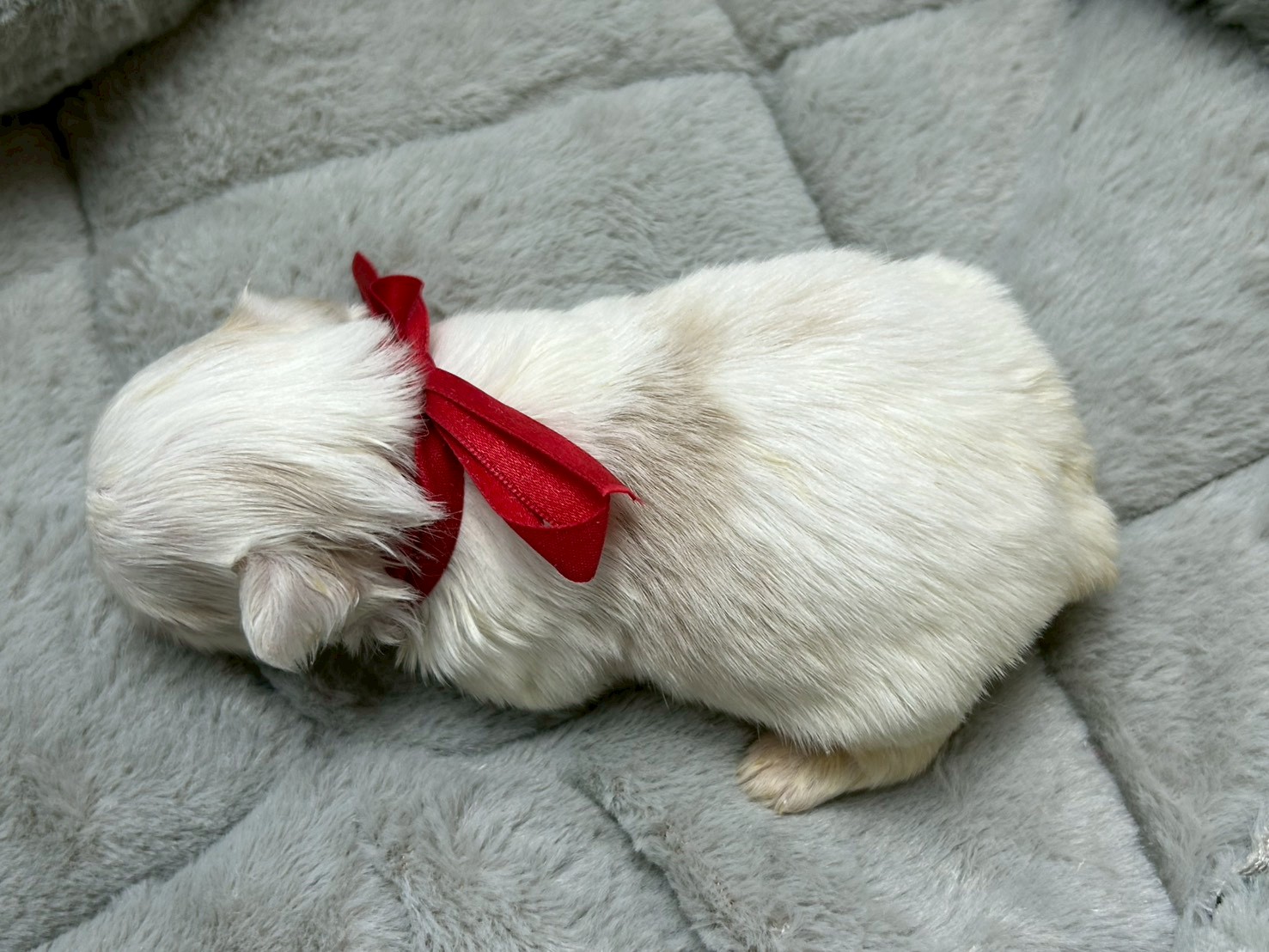 赤ちゃん写真2-3