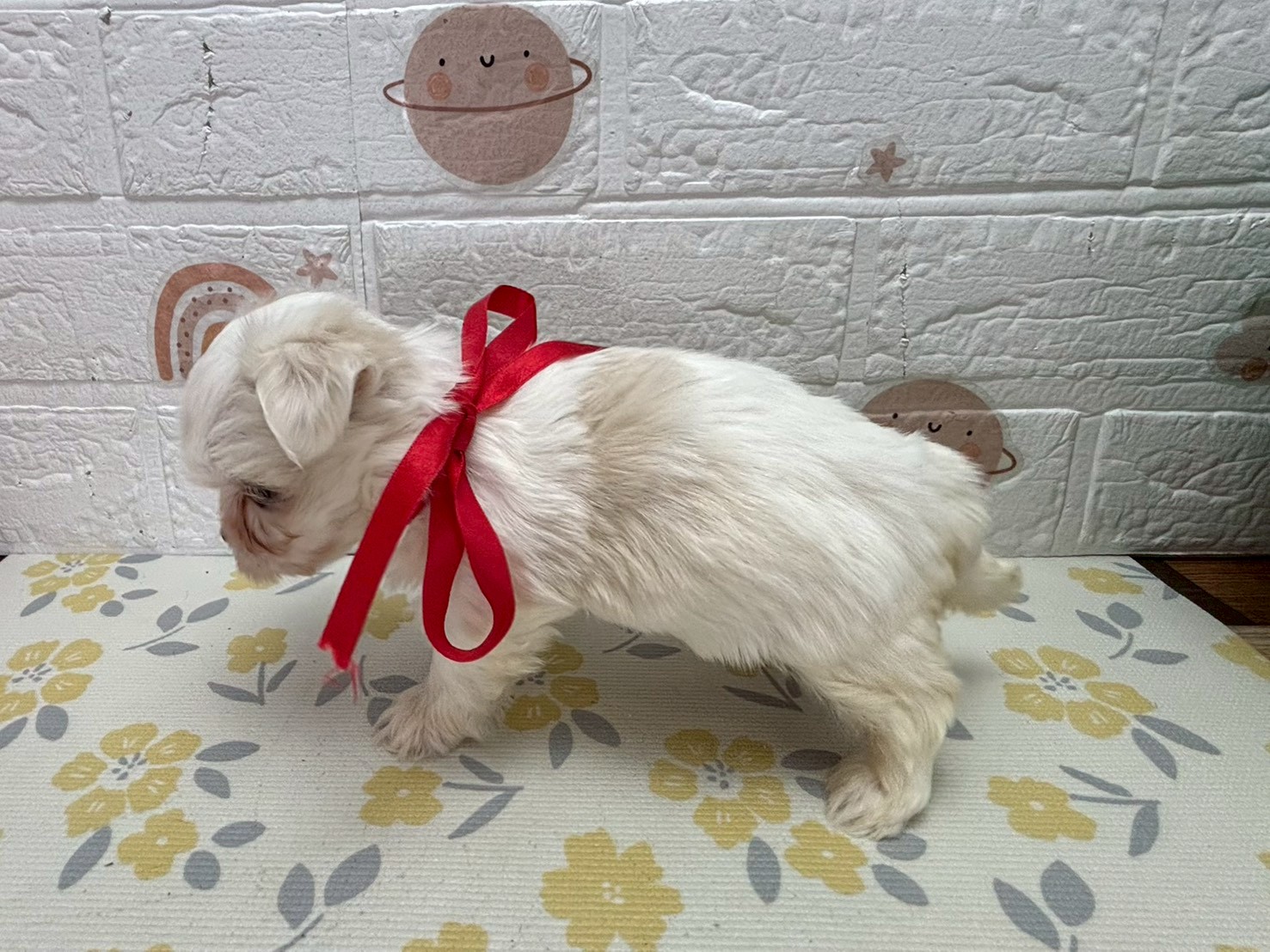 赤ちゃん写真3-2