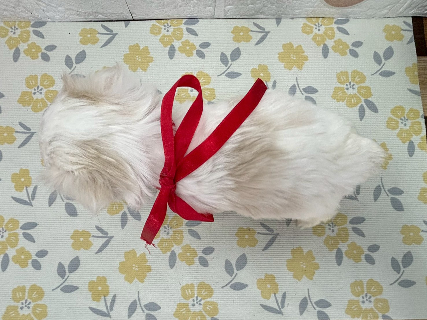 赤ちゃん写真3-3