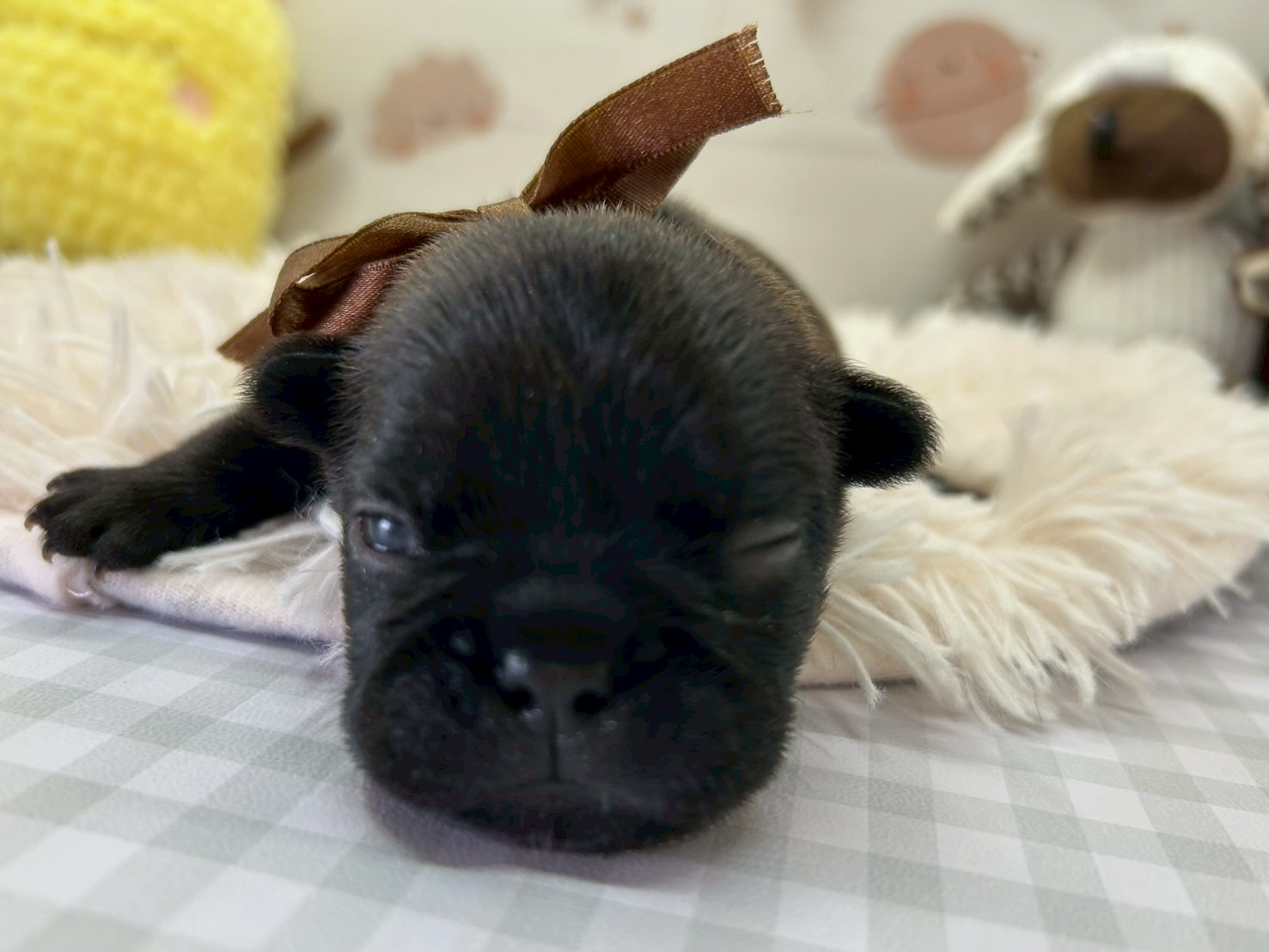 赤ちゃん写真1-1