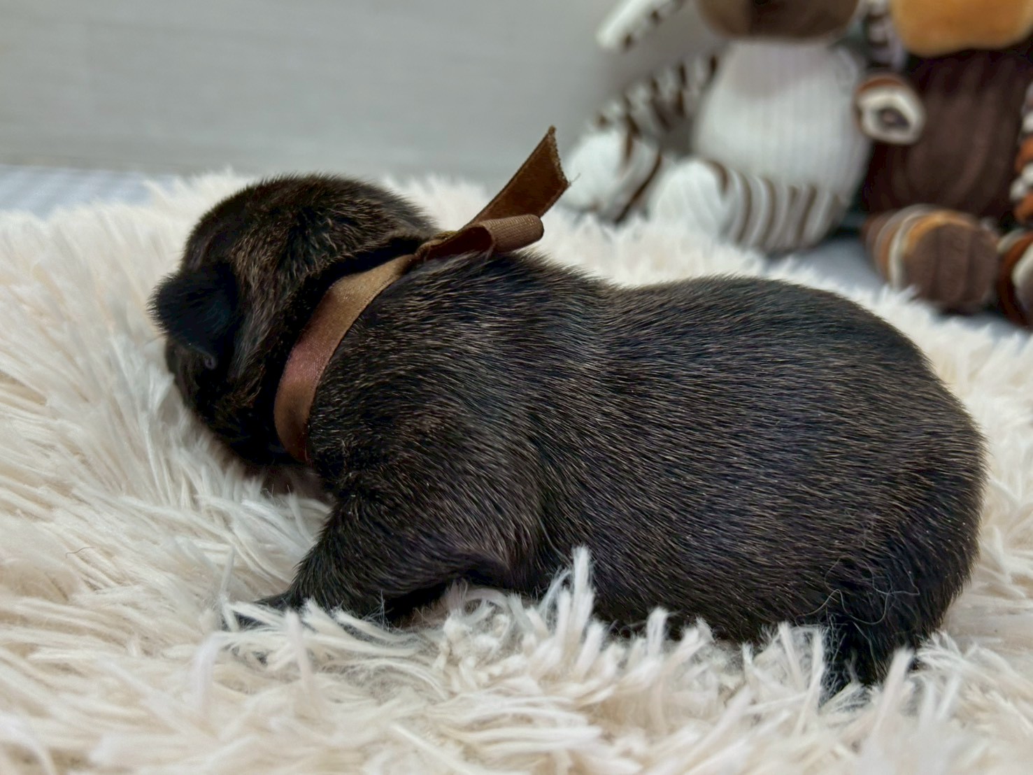 赤ちゃん写真1-2