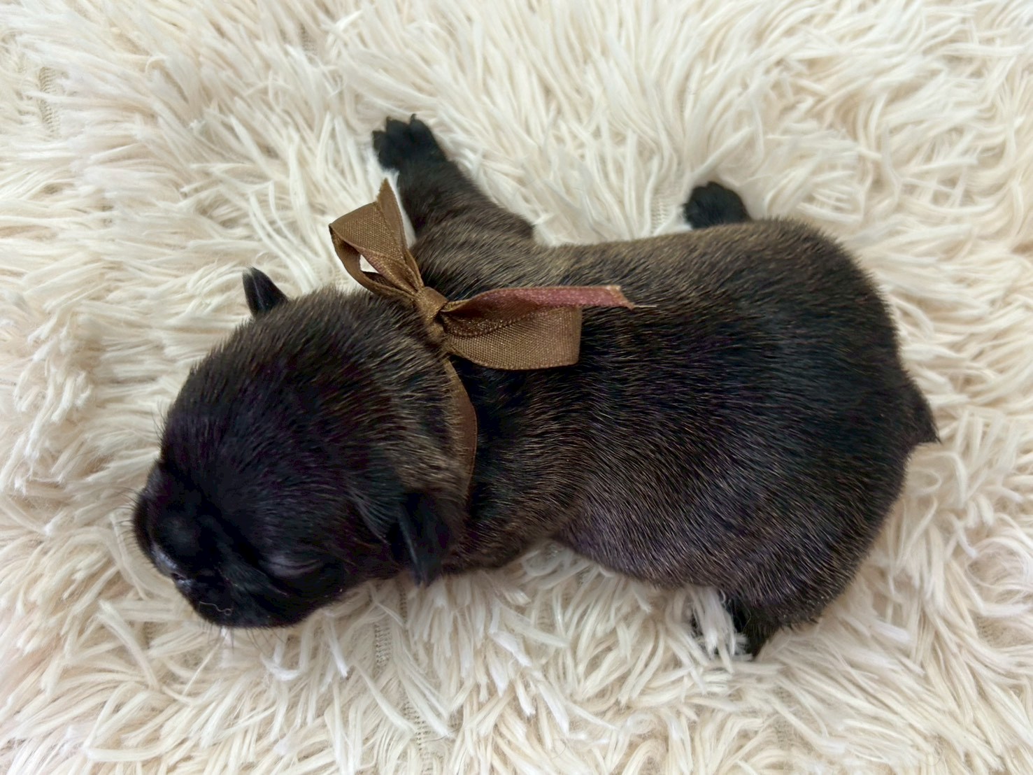 赤ちゃん写真1-3