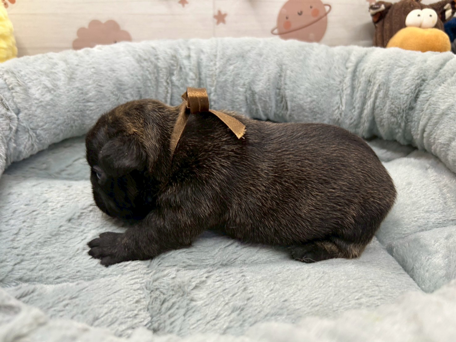 赤ちゃん写真2-2