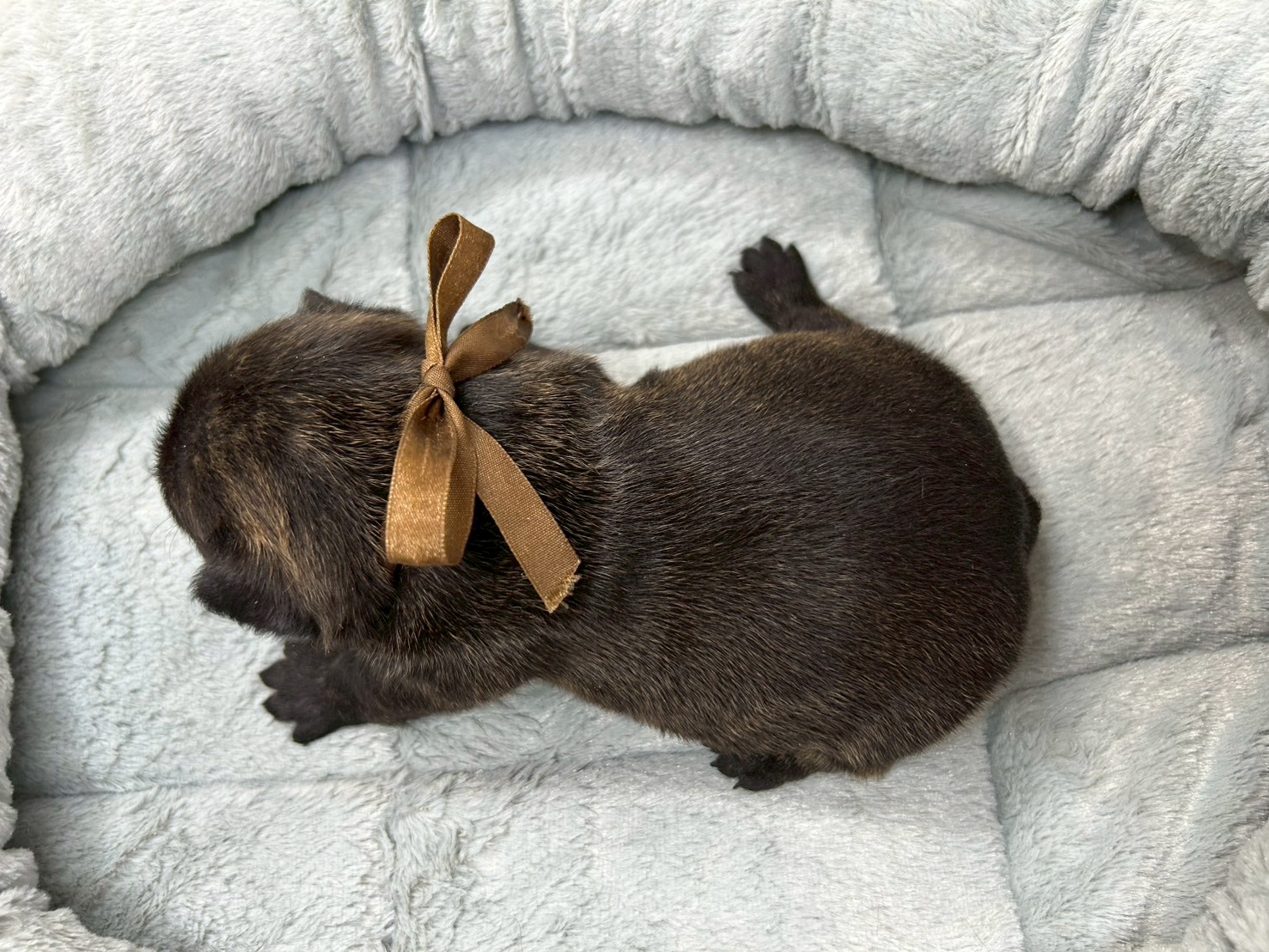 赤ちゃん写真2-3