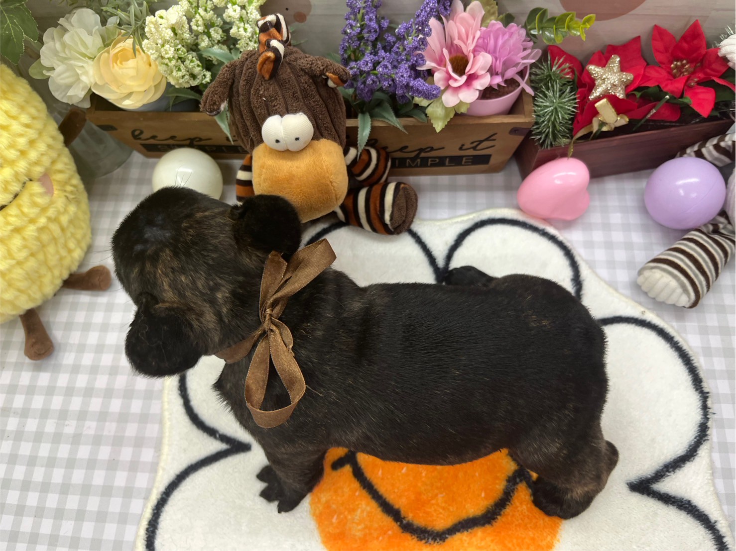 赤ちゃん写真3-3