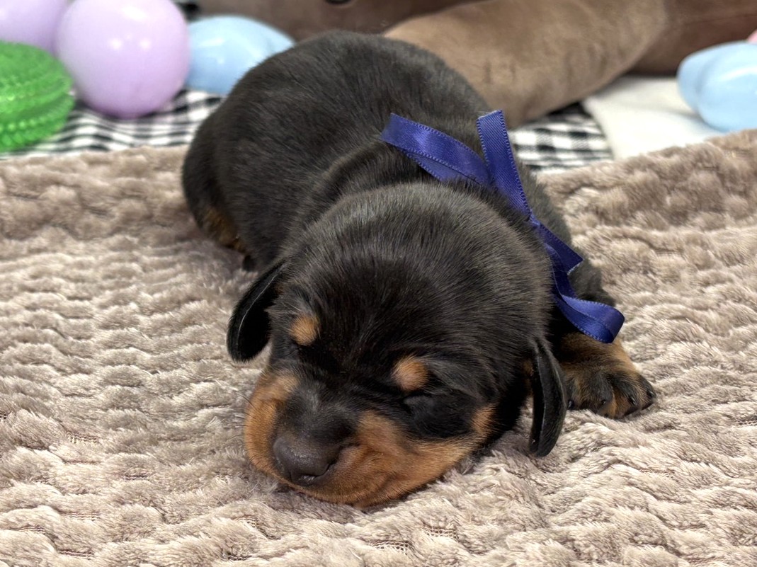 赤ちゃん写真1-1