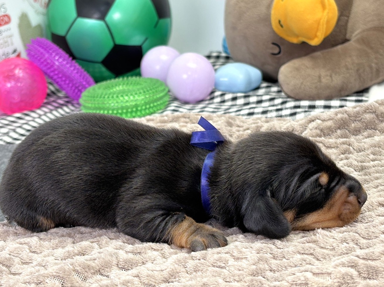 赤ちゃん写真1-2