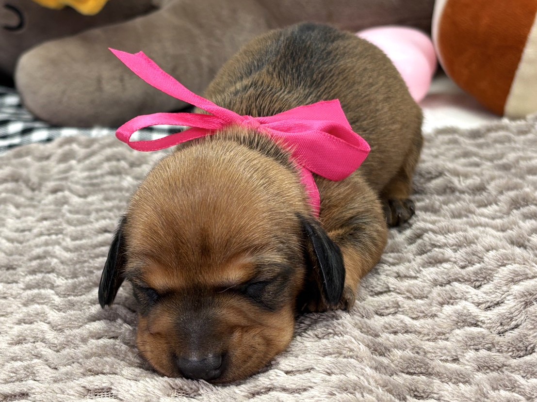 赤ちゃん写真1-1