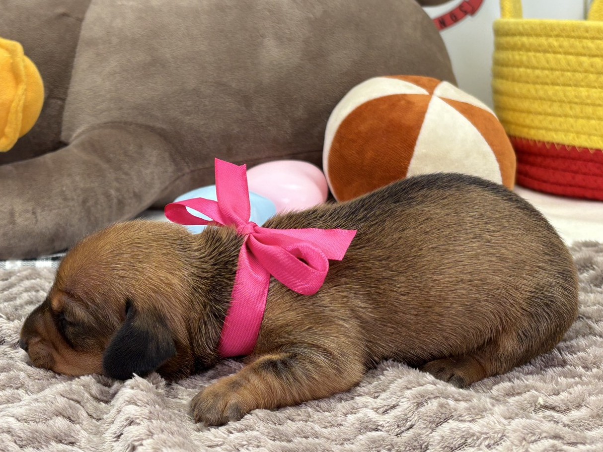 赤ちゃん写真1-2