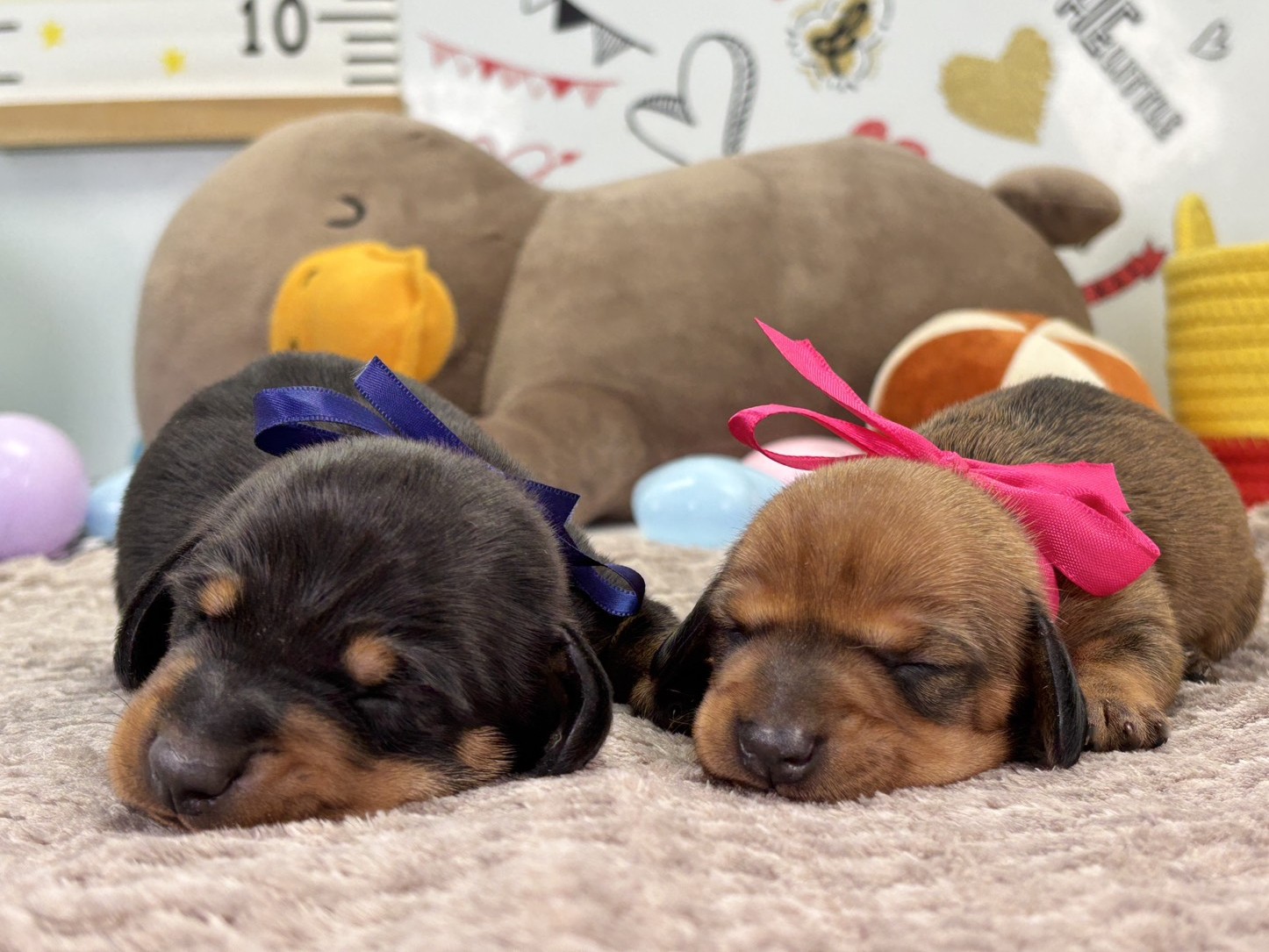 赤ちゃん写真1-3