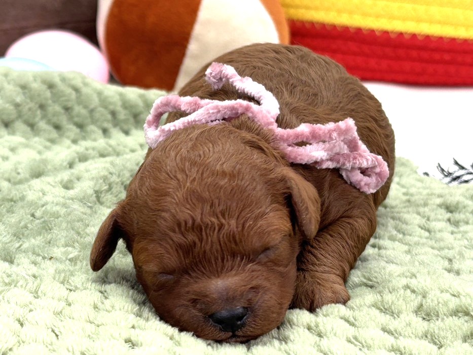 赤ちゃん写真1-1