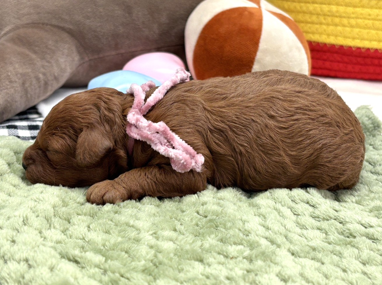 赤ちゃん写真1-2