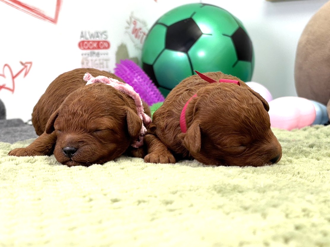 赤ちゃん写真1-3