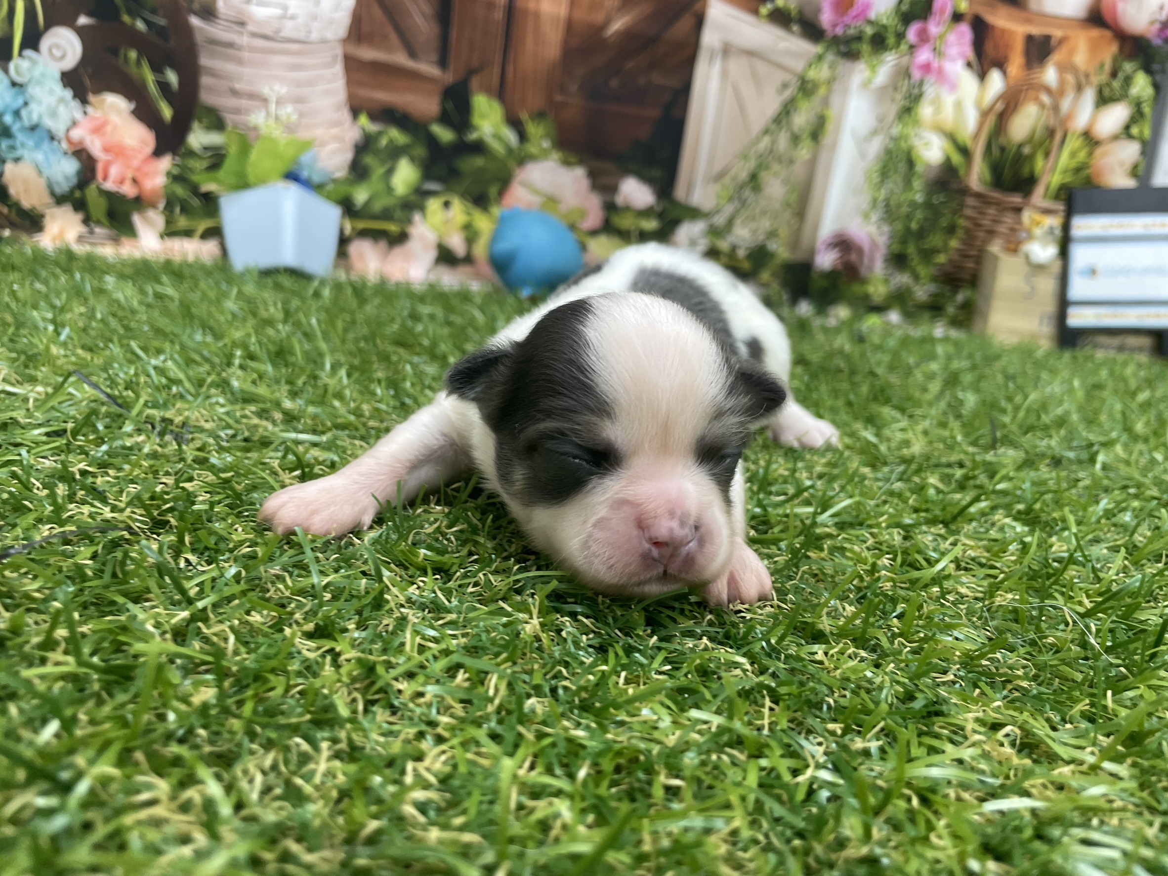 赤ちゃん写真1-1