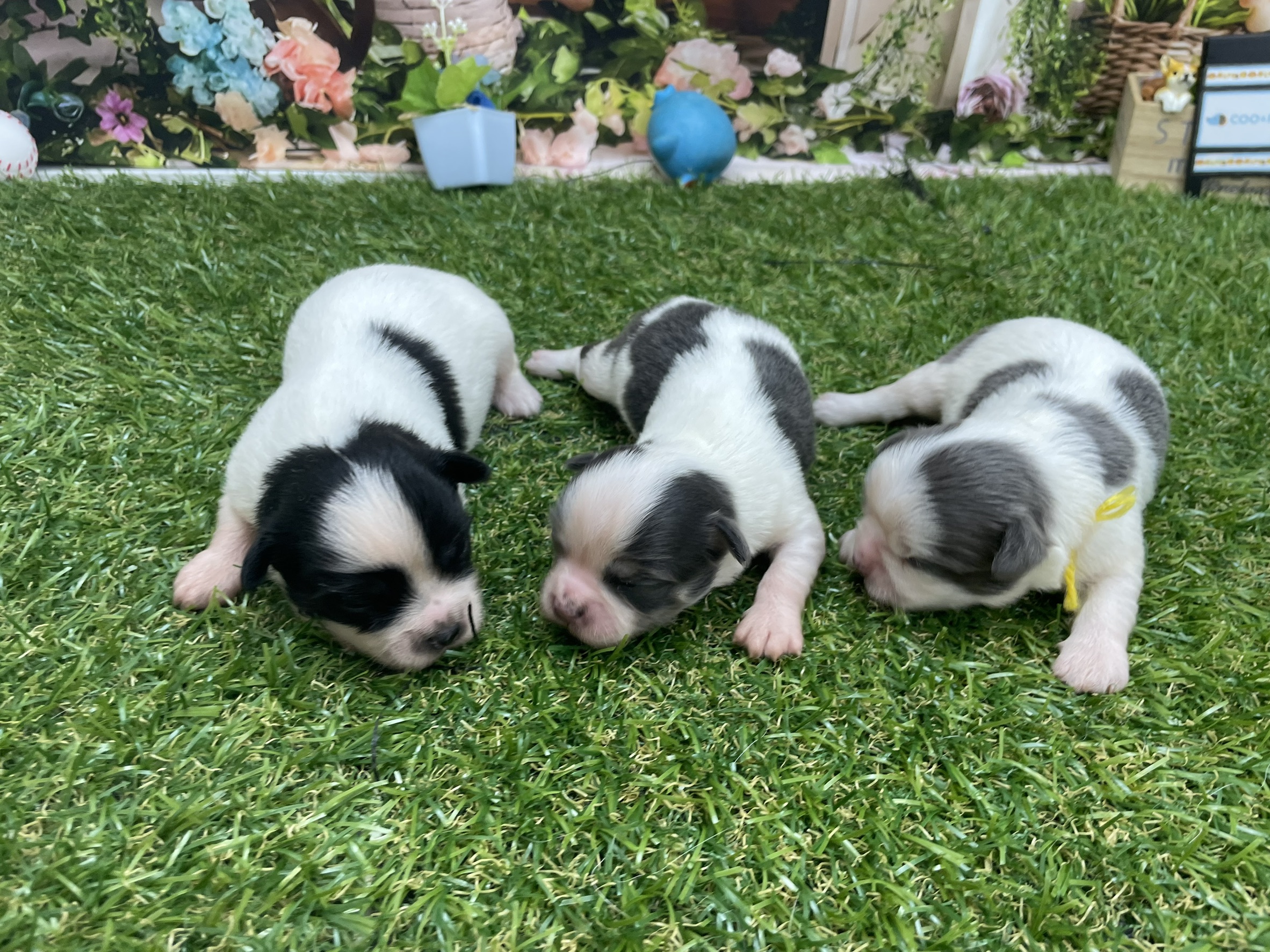 赤ちゃん写真1-3