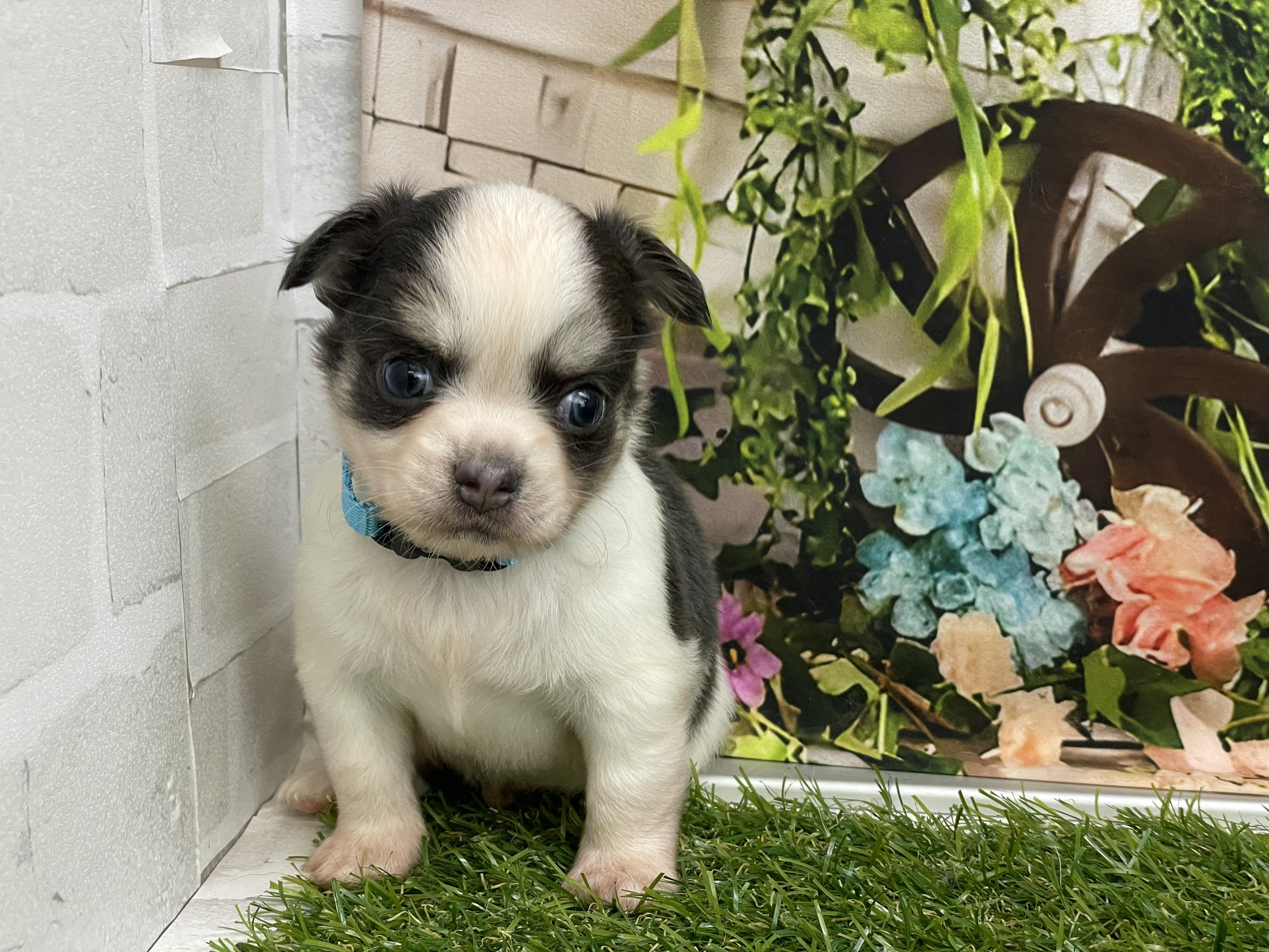 赤ちゃん写真2-1