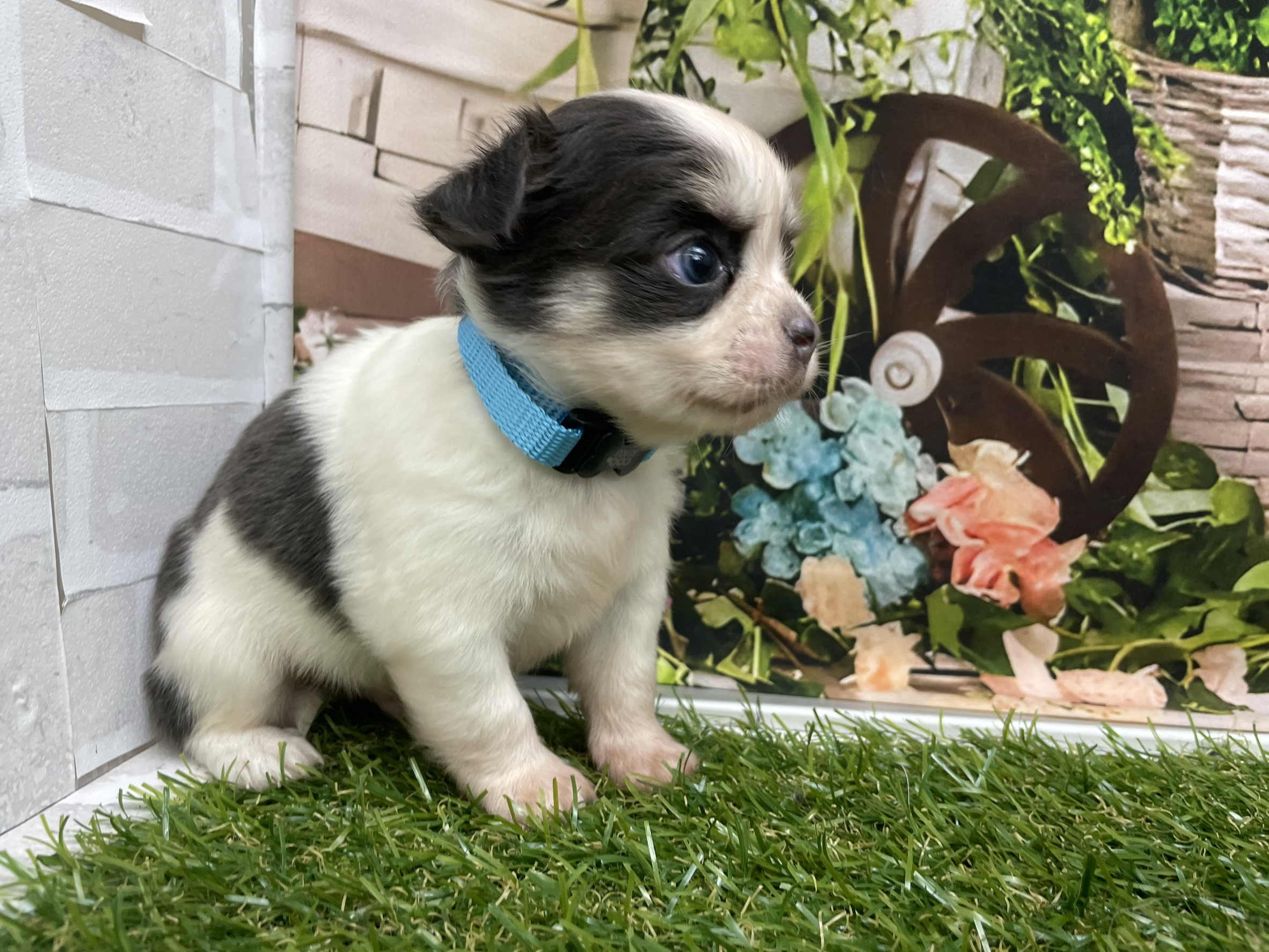 赤ちゃん写真2-2