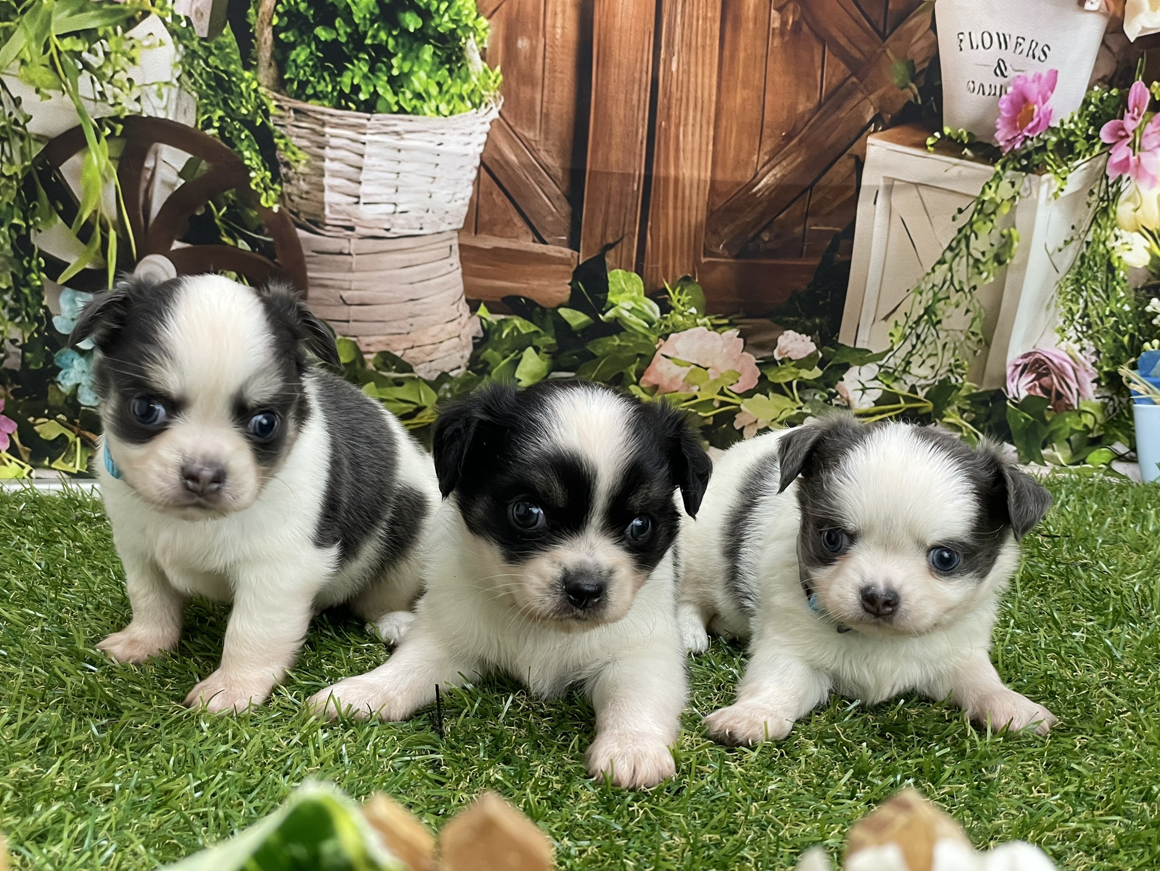 赤ちゃん写真2-3