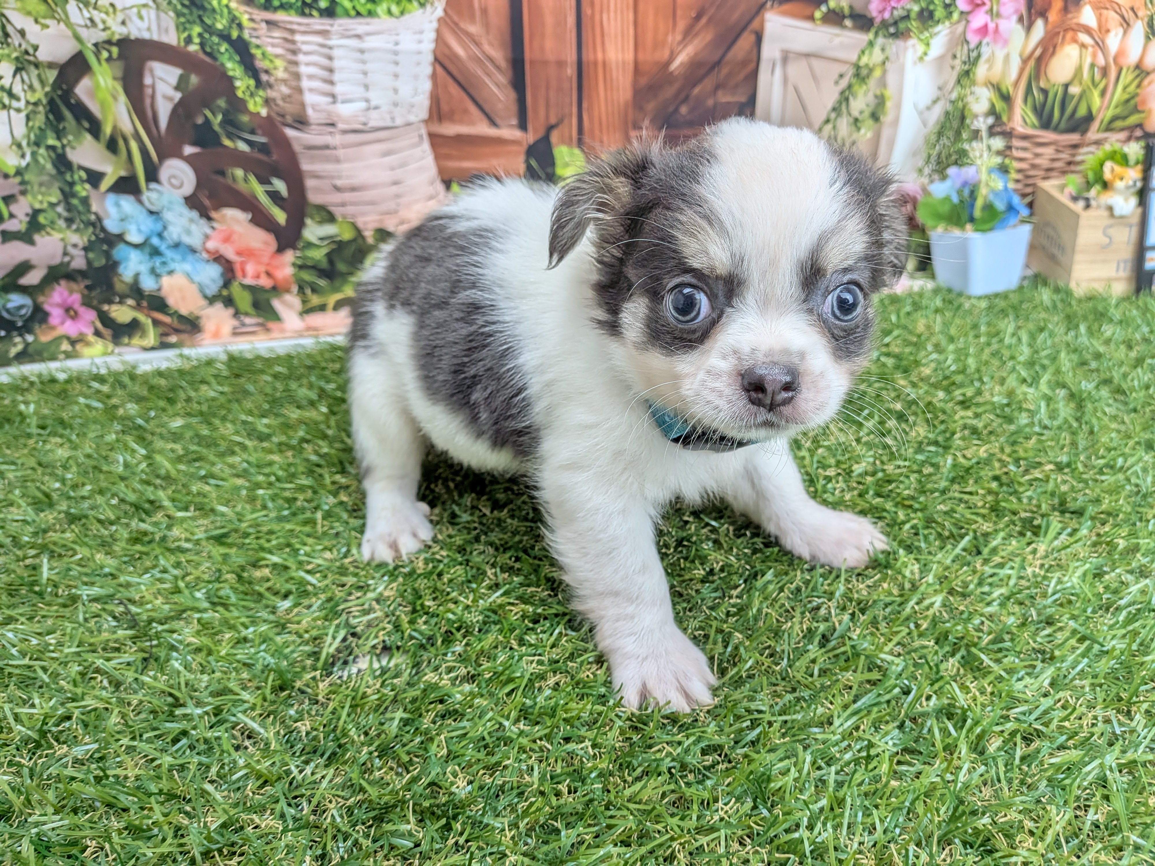 赤ちゃん写真3-2