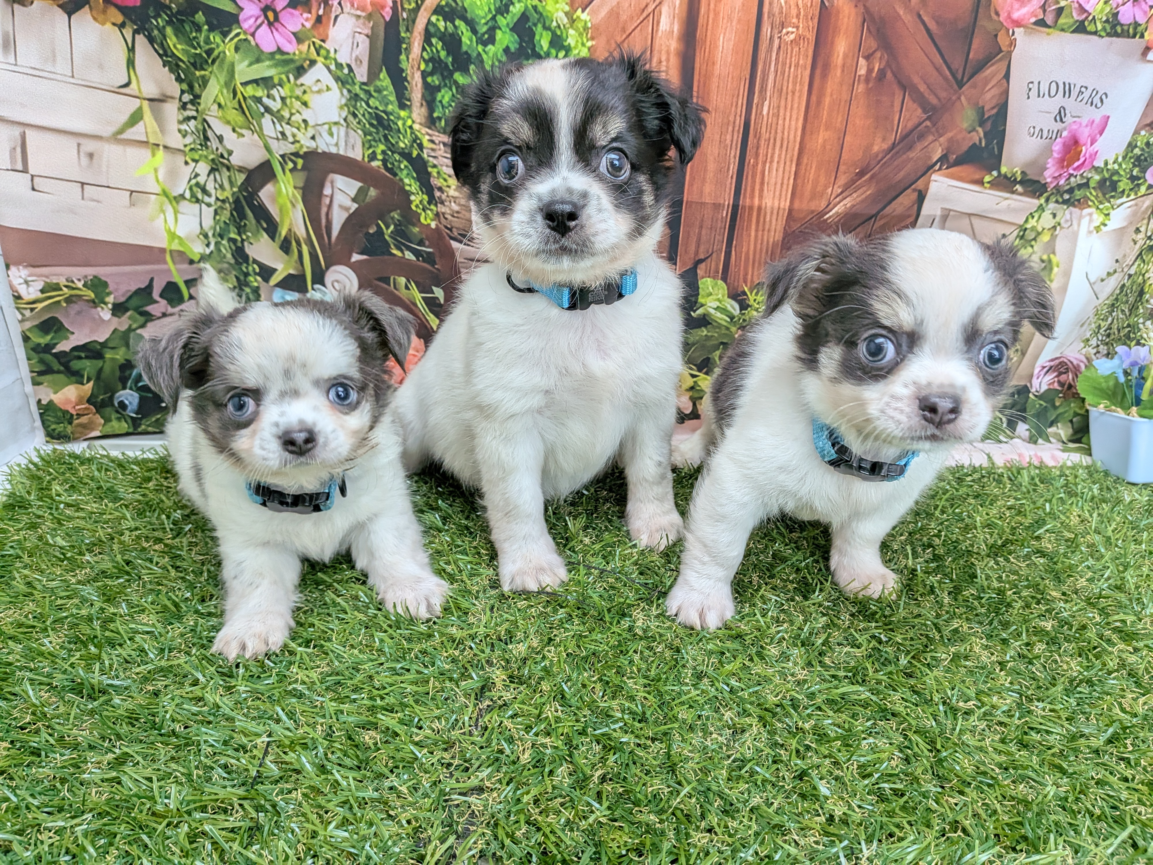 赤ちゃん写真3-3