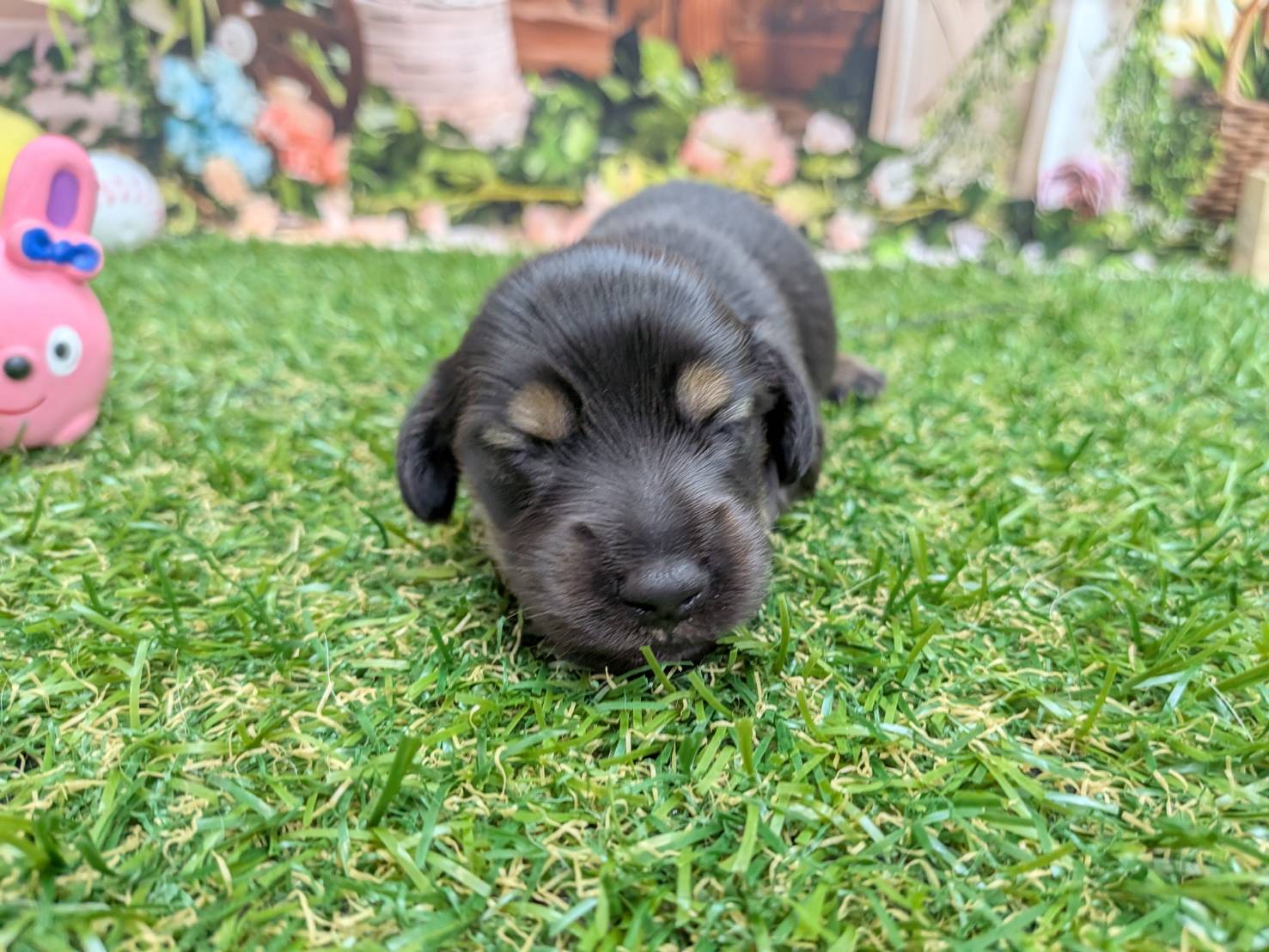 赤ちゃん写真1-1